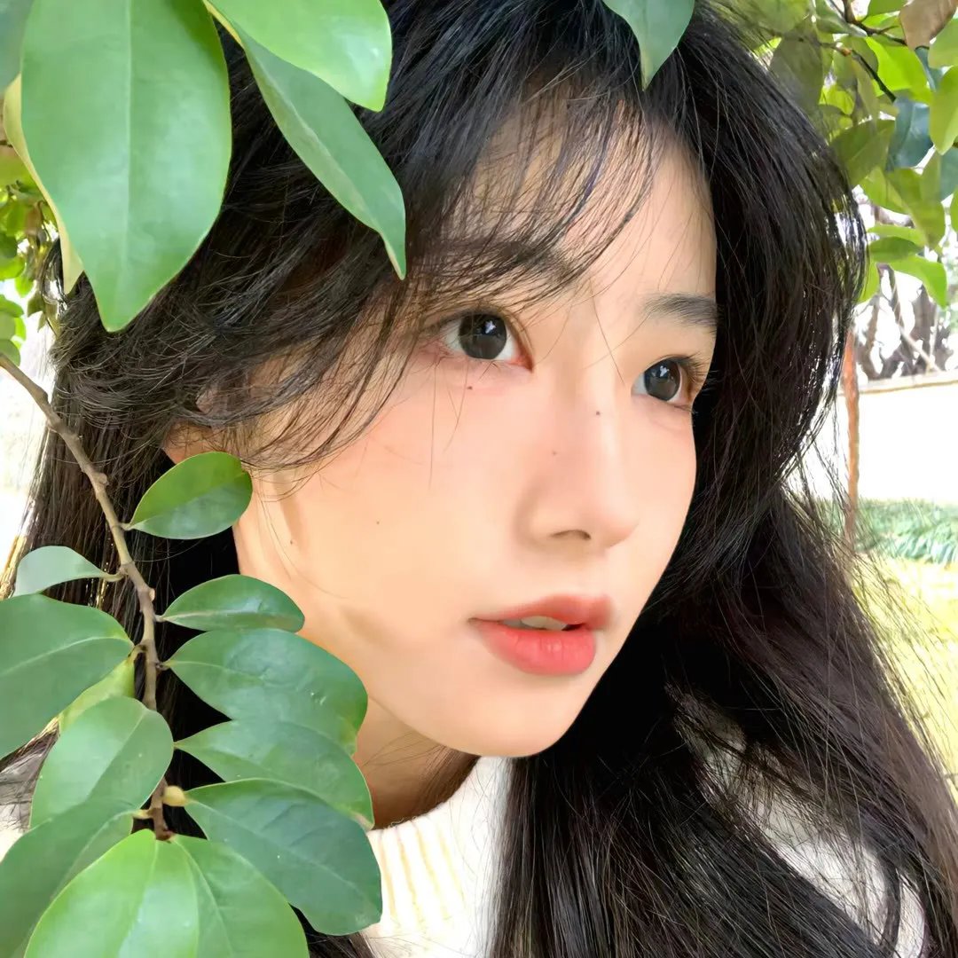 怪客临门