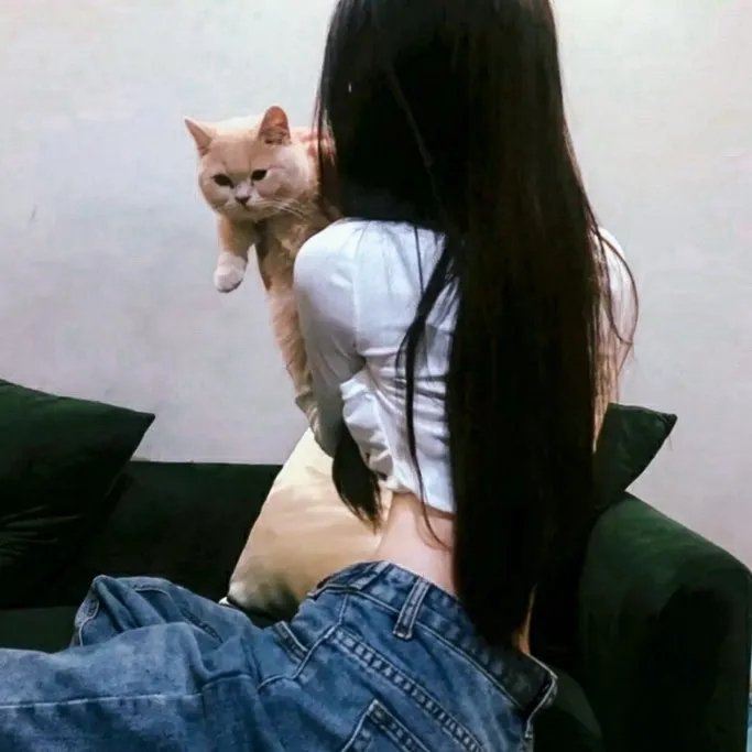 高中锋，矮教练